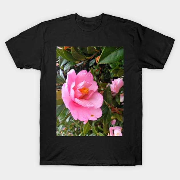 Pink Flower T-Shirt by Sophprano